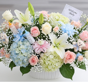 Birth & New Baby Arrangements